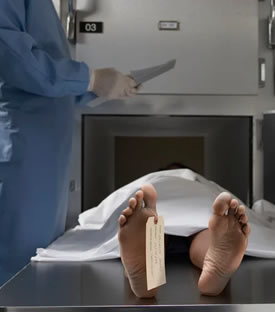 Occupational Certificate Embalmer